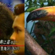 Image for article titled Delight in How These Photos Totally Look Like Anime and Video Game Characters